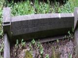 image of grave number 341863
